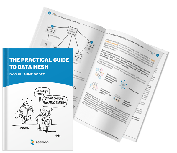 The Practical Guide to Data Mesh mockup EN