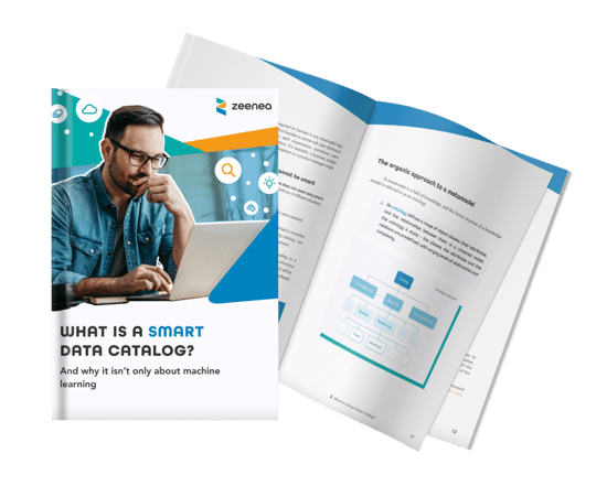 smart-data-catalog-mockup-en (1)